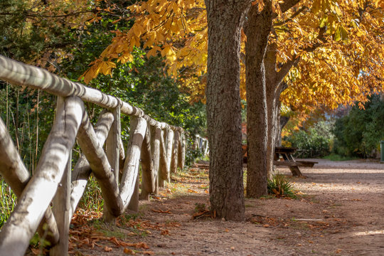 Parque natural de la Fuente Roja, Alcoy