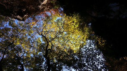 Romantische Herbststimmung in der Eifel