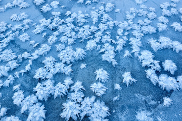Beautiful texture abstraction ice with flowers from ice and snow blue shade