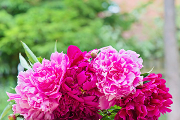 Obraz premium Pink peony flowers bouquet