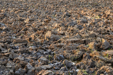 Dry cracked clay on rice fields in drought season