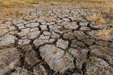 Dry cracked soil ground texture in fields