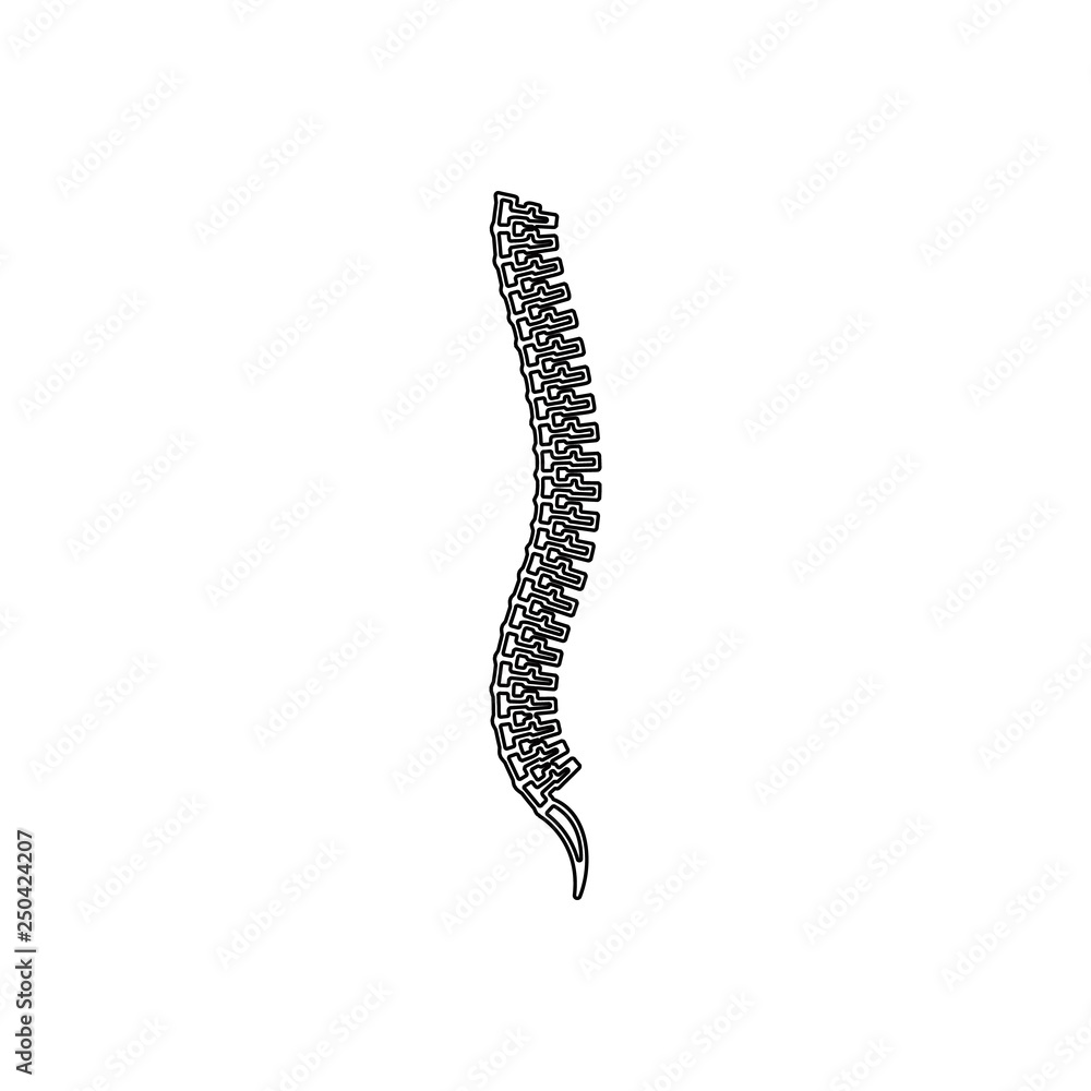 Poster spine icon. element of human parts for mobile concept and web apps icon. outline, thin line icon for