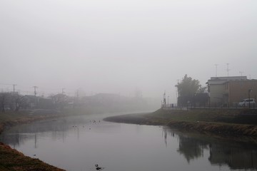 濃霧の朝