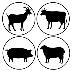 Farm Animals modern Set icon vector eps 10