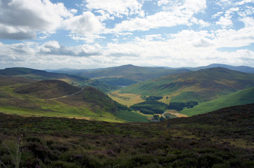 Fototapeta premium Summer in Wicklow Mountains.Ireland.
