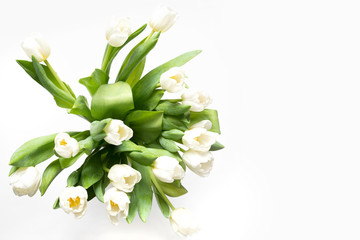 Obraz premium Bouquet of white tulip on white. Floral pattern.