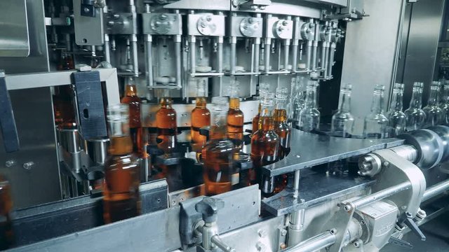 Whiskey, scotch, bourbon production. Process of bottles filling with liquor at alcohol factory, automated machine.
