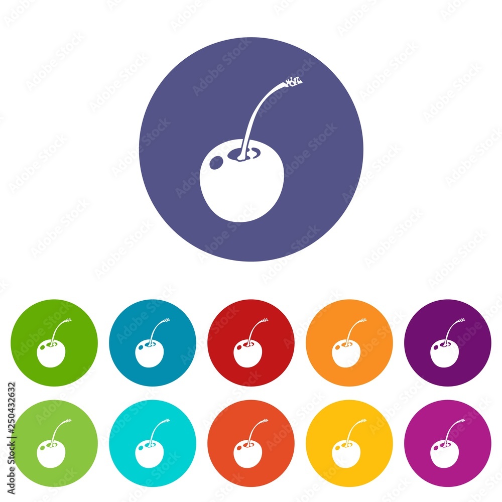 Poster cherry icons color set vector for any web design on white background