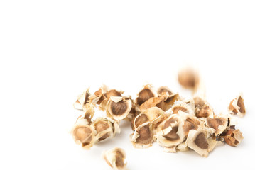 Moringa Oleifera seed dried on isolated white background.