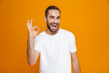 Image of handsome guy 30s with beard and mustache showing ok sign while standing, isolated over...