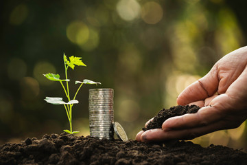 Hand of person holding soil and with coins,plant on nature background.