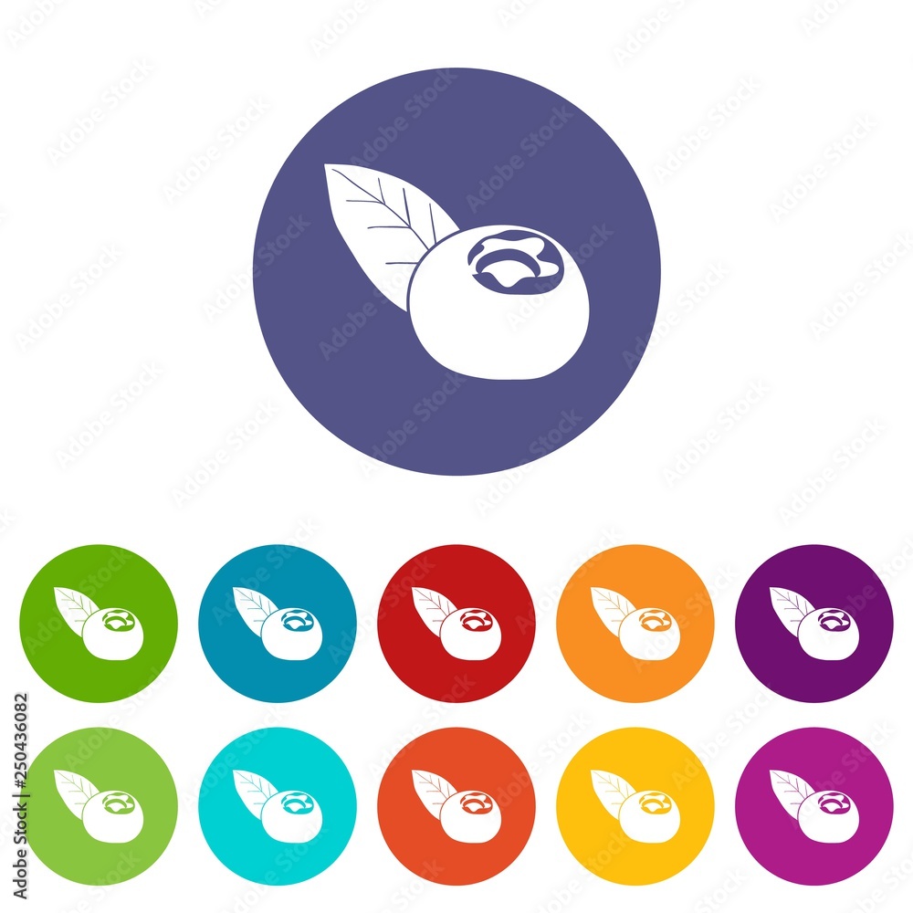 Poster cranberry icons color set vector for any web design on white background