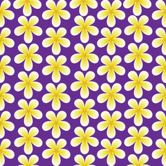 Frangipani ( Plumeria) flower pattern. Bali concept. Vector EPS10.