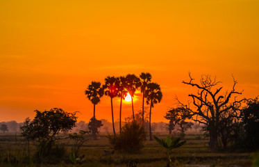 Obraz premium Beautiful sunsets in the countryside.8