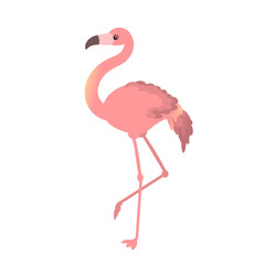 Tropical birds set of flamingo. Exotic rose bird illustrations, jungle tree, trendy art.