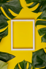 Fototapeta na wymiar Creative flat lay with tropical plant and white frame for your text