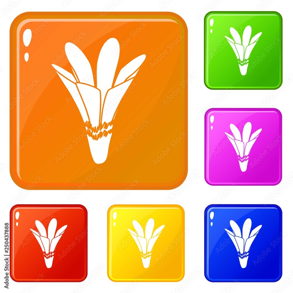 Aufkleber nature flower icons set collection vector 6 color isolated on white background