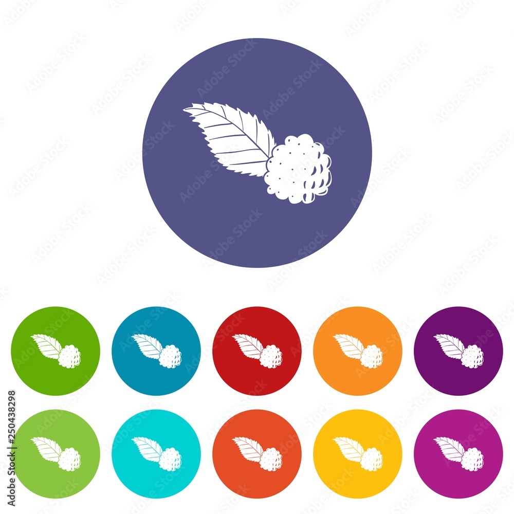 Poster blackberry icons color set vector for any web design on white background