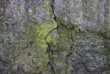 gray green stone background from old dirty concrete wall