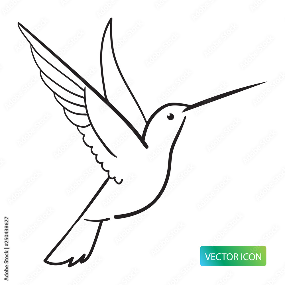 Wall mural Hummingbird Icon Or Logo Design Vector Image On White Background. Hummingbird Line Logo Icon. Isolated Colibri Symbol Vector Illustration. Hummingbird Line Sketch Vector Image.