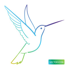 Hummingbird Icon Or Logo Design Vector Image On White Background. Hummingbird Line Logo Icon. Isolated Colibri Symbol Vector Illustration.