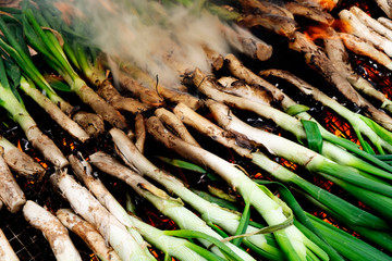 barbecuing calcots, onions typical of Catalonia.