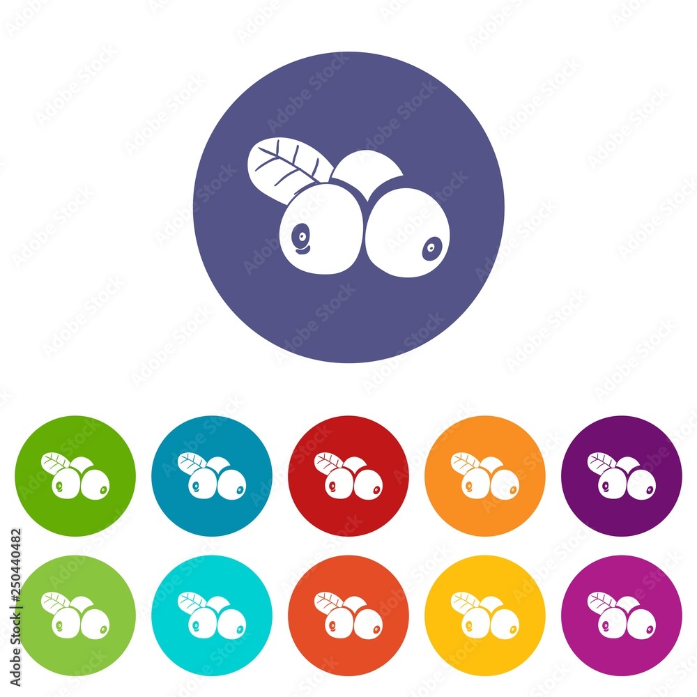 Poster Lingonberry icons color set vector for any web design on white background