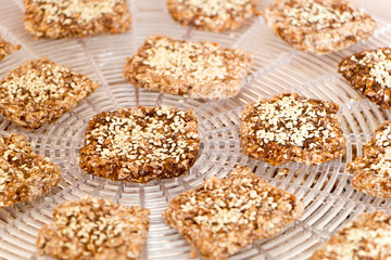 Vegan cookies preparing process on dehydrator grid