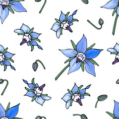 Vector floral seamless pattern with blue hand-drawn blooming flowers borage isolated on white. Beautiful endless texture with wild herb borago for wallpapers. Summer bright background