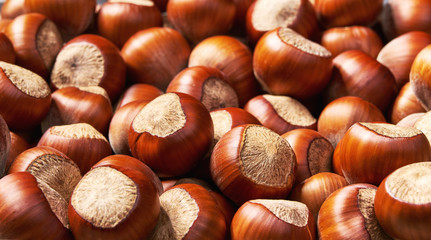 Hazelnut  background   close-up, healty food
