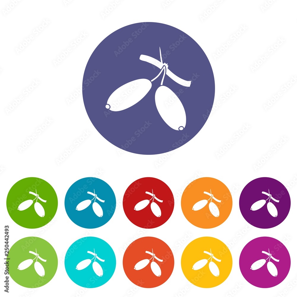 Poster barberry icons color set vector for any web design on white background