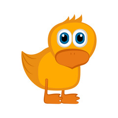 Isolated cute chicken. Farm animal. Vector illustration design