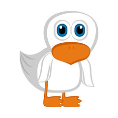 Isolated cute duck. Farm animal. Vector illustration design