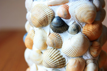 Glass with seashells