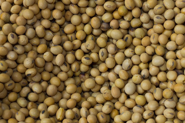 Soybean seeds Background