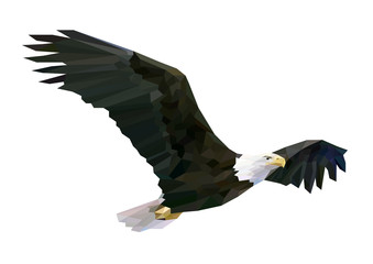 Soaring eagle.