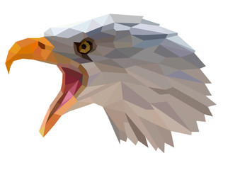 The head of an eagle.