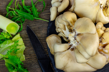 Heap of edible pleurotus/oyster mushrooms harvest, fresh food ingredient from market