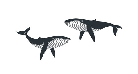 Whale logo. Isolated whale on white background