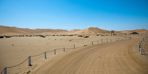 Desert Life, Namibia Africa
