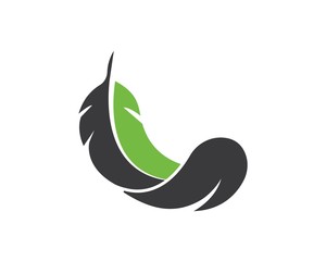 feather icon illustration vector template