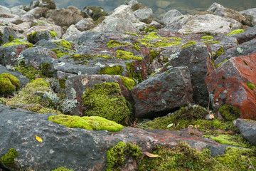 Big stones are on the lake shore in Finland at summer.