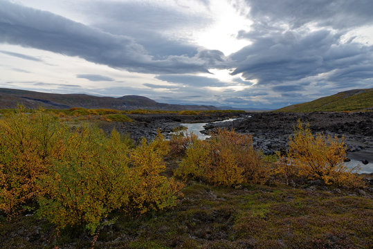 herbstliche Landschaft entlang der F550, Island