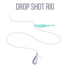 Drop shot rig sinker and soft plastic lure bait setup for catching predatory fish.