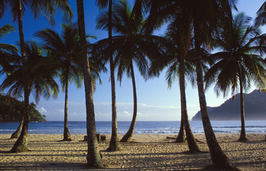 maracas beach, trinidad