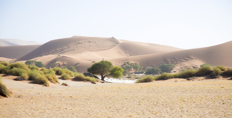Namib Desert, Namibia