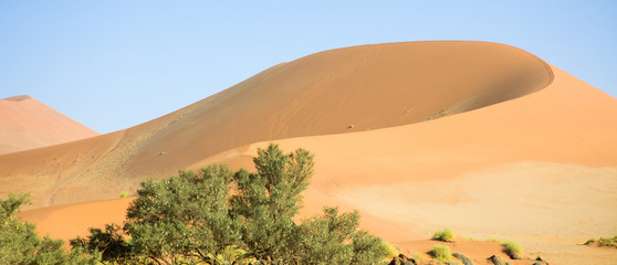 Dunes, Namibia Africa