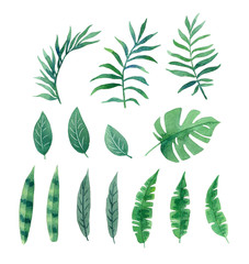 watercolor tropical leaves for design, exotic plants isolated on white background, palm leaf and...
