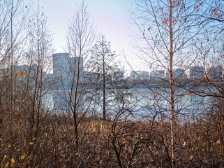 winter landscape on the banks of the Moscow river